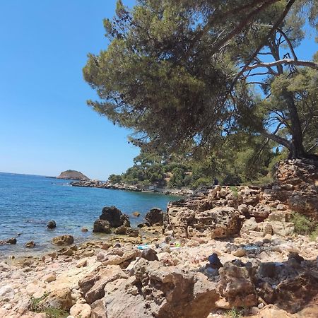 Agréable studio 2/4 pers au calme avec rez-de-jardin Bandol Esterno foto