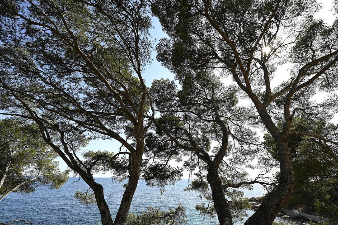 Agréable studio 2/4 pers au calme avec rez-de-jardin Bandol Esterno foto