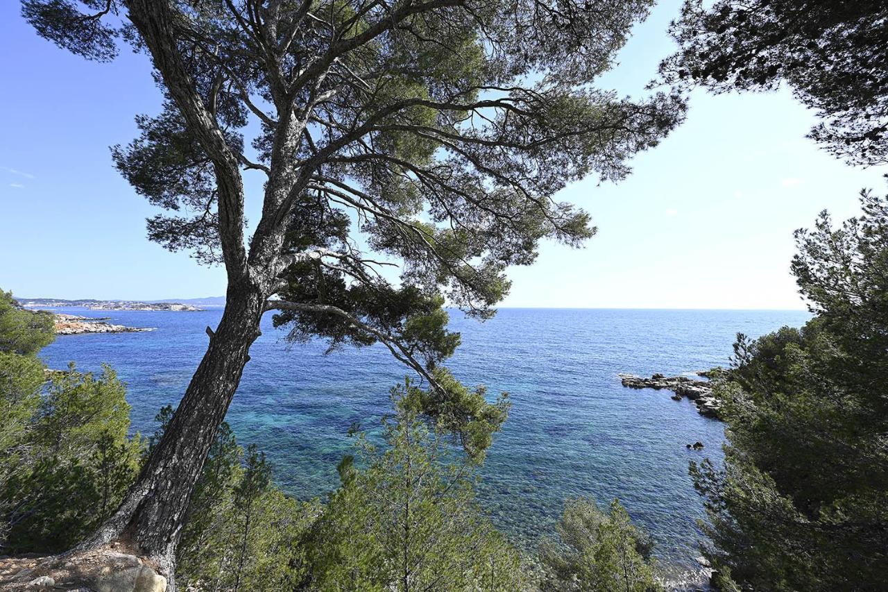 Agréable studio 2/4 pers au calme avec rez-de-jardin Bandol Esterno foto