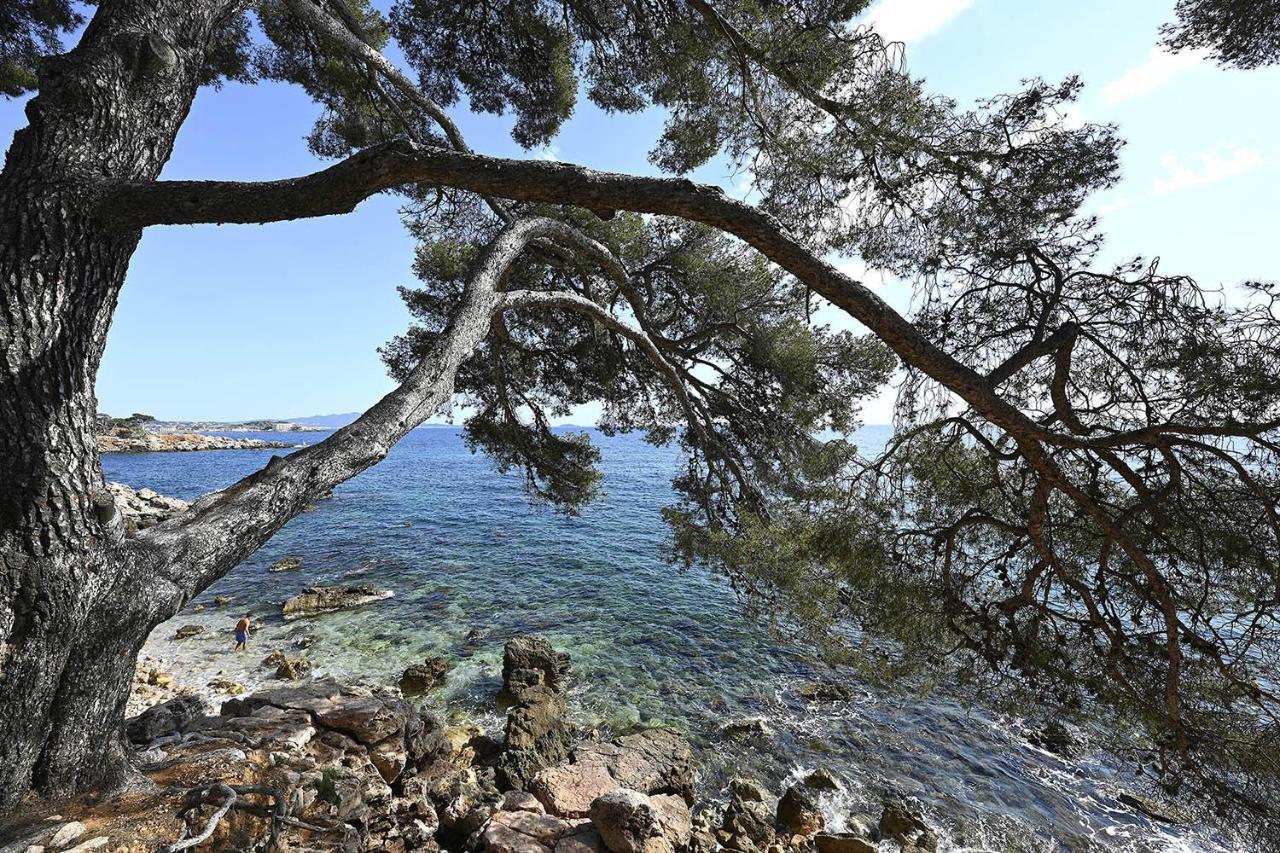 Agréable studio 2/4 pers au calme avec rez-de-jardin Bandol Esterno foto