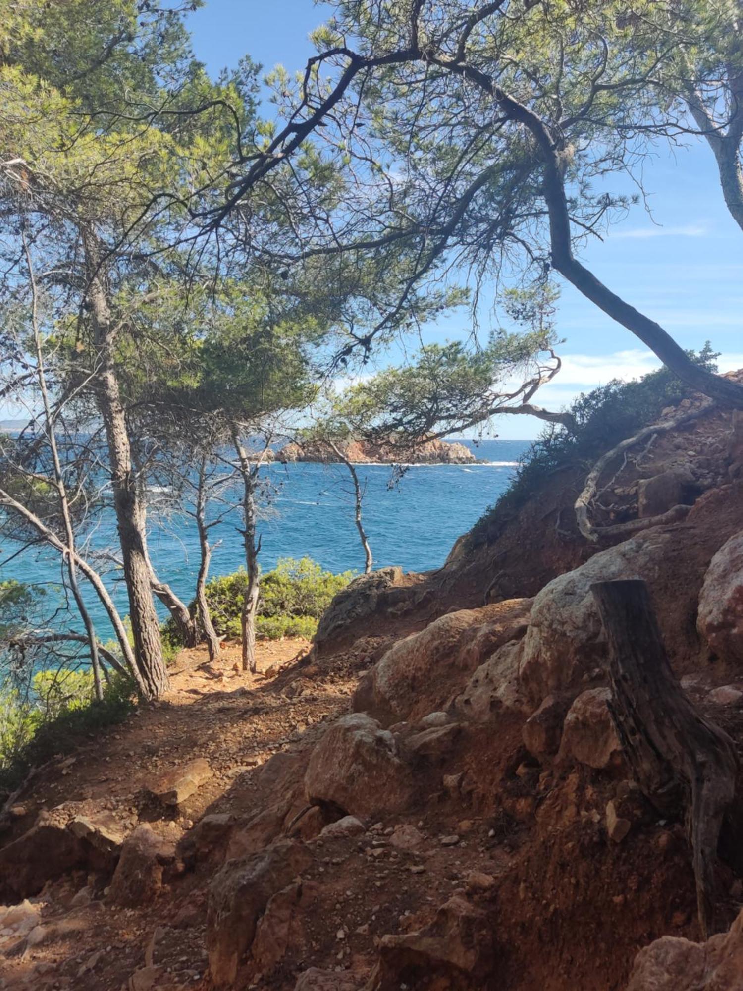 Agréable studio 2/4 pers au calme avec rez-de-jardin Bandol Esterno foto